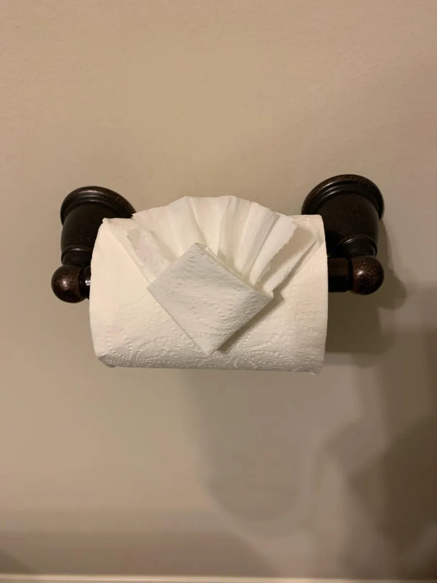 Toilet paper folded into a fan, a finishing touch left by Dolane Cleaning Services